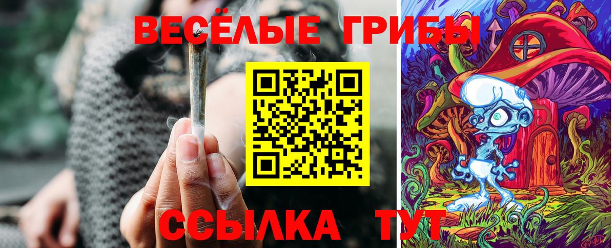 Камышлов  Псилоцибиновые грибы Magic Shrooms  Вход с VPN  Галлюциногенные грибы MAGIC MUSHROOMS 