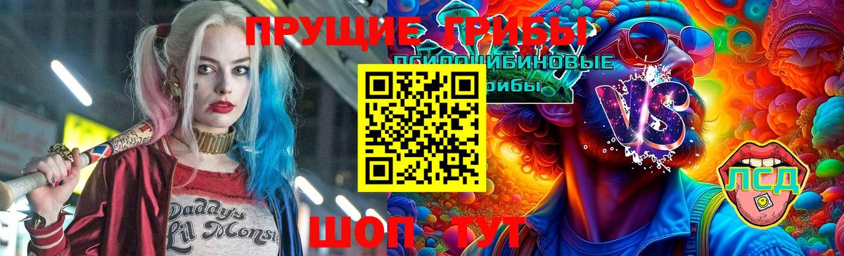 Псилоцибиновые грибы GOLDEN TEACHER Камышлов